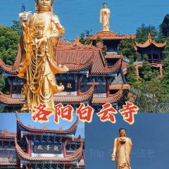 颍阳水席(登封店) User Photo