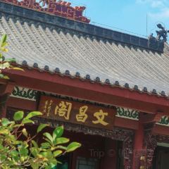 GOLD HOMELAND User Photo