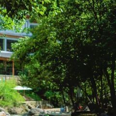 ZAI SHAN YE User Photo