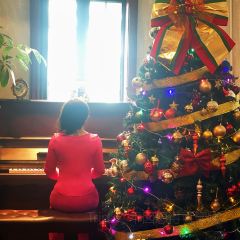 海湾荟·凤栖梧桐(镇宁路店) User Photo