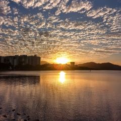 Prawn Star Cairns User Photo