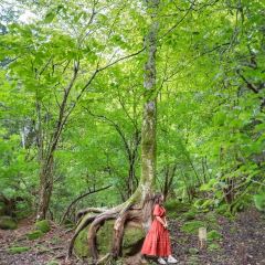 Yunotake-an User Photo