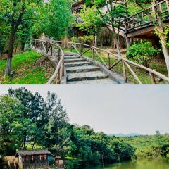 宝华山庄 User Photo