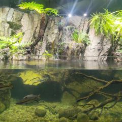 裕丰源豫食雅宴 User Photo