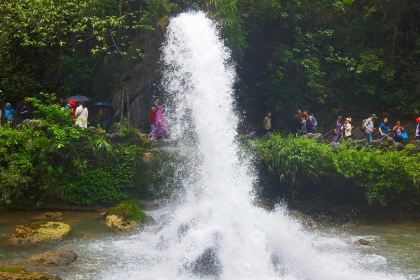 黔湘食府(首店)