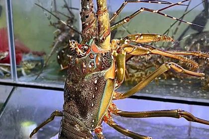 千喜大排档(东山美食地标店)