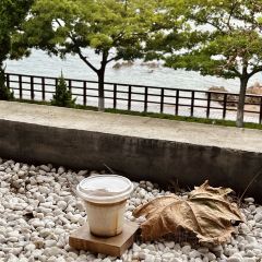 Vanilla Specialty Coffee（八大關店）張用戶圖片