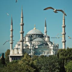 Seven Hills Restaurant User Photo