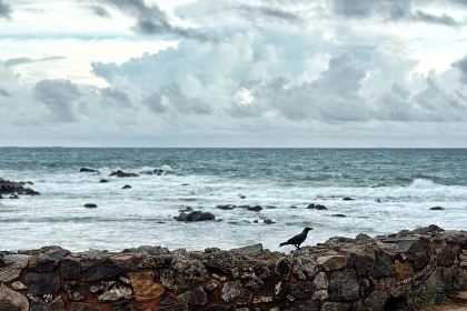 Pedlar's Inn Cafe and Restaurant