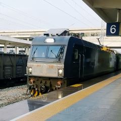 DA DONG MA TOU ROU WAN DOU FU JIAO User Photo