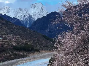 수염집에 쌓인 천