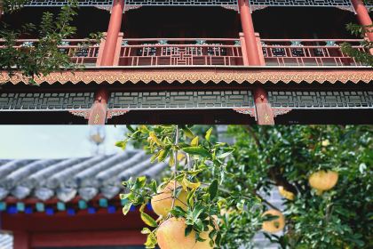 老牌坊鲁菜名店(聊城美食岛店)
