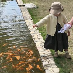 深林之梦·咖啡 User Photo