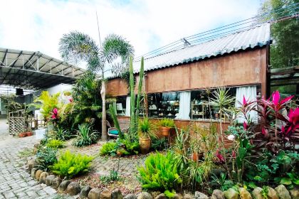 小新厨房(簕菜创意园店)