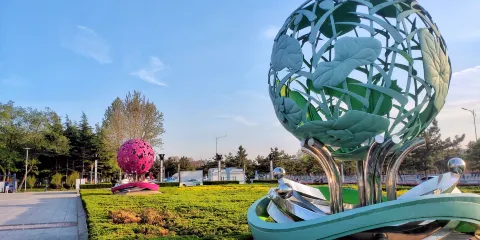 沁水公園