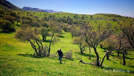 Emin County Wild Fruit Forest Scenic Area