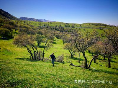 Emin County Wild Fruit Forest Scenic Area