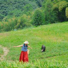 羊圈餐厅 User Photo