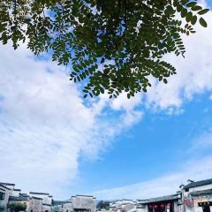 BAI YUN User Photo