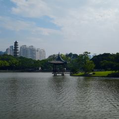 潤豐和牛雜（飛霞南路店）張用戶圖片