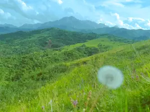 Taizishan Nature Reserve, Gansu Province