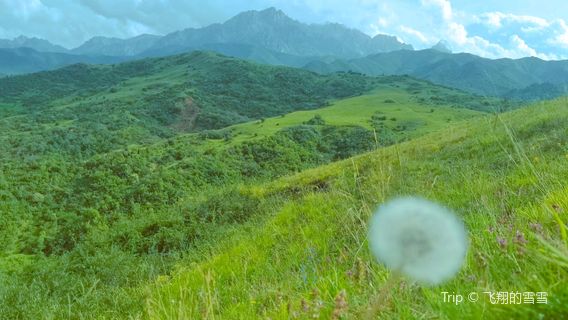 Taizishan Nature Reserve, Gansu Province