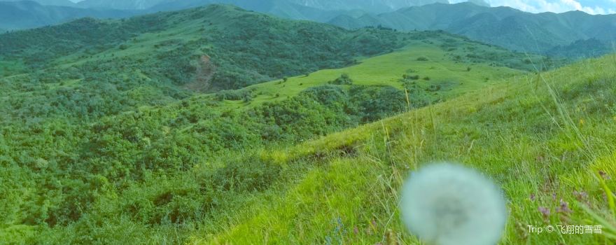 Taizishan Nature Reserve, Gansu Province