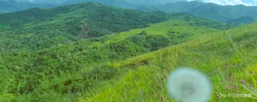 Taizishan Nature Reserve, Gansu Province