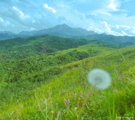 Taizishan Nature Reserve, Gansu Province