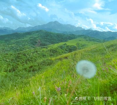 Taizishan Nature Reserve, Gansu Province