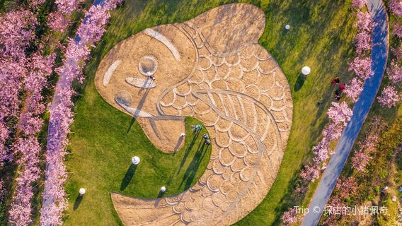 Liyuzhou Cherry Blossom Island