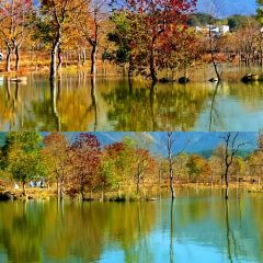 Sage Hall Homestay User Photo