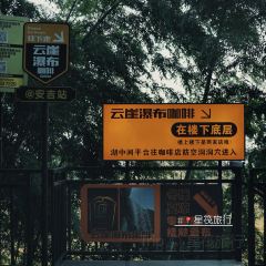 BAN DAO User Photo
