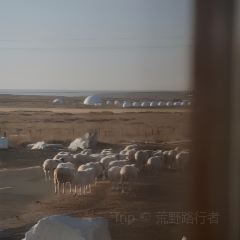 無热宇宙民宿·路边野餐X荒野咖啡 User Photo