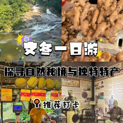 Rimba By Dking ( Durian & Restaurant ) User Photo