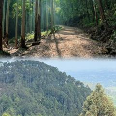 山涧别院 User Photo