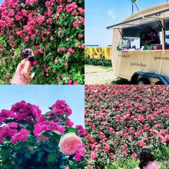 云间花境餐厅 User Photo
