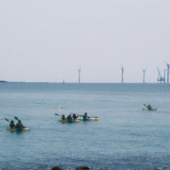 팀블로우 여행 사진