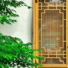 古阆古味 User Photo