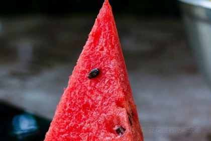 美新点心店(陕西北路店)