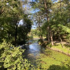 杏好遇见你(总店) User Photo