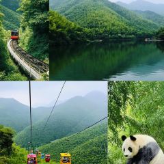 YU YAN LOU User Photo
