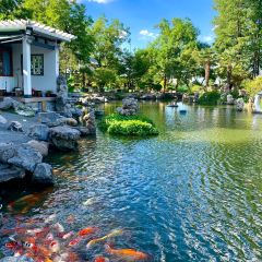 PURPLE MOUNTAIN GARDEN User Photo