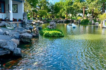 PURPLE MOUNTAIN GARDEN