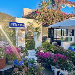 屋顶咖啡·日落甜茶·雪山花园 ·bistro User Photo