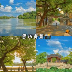 XING JI SUGAR CANE ICE User Photo