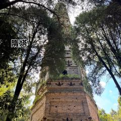 RONG CUISINE User Photo