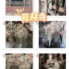 滨河食府(曙光东街店) User Photo