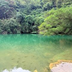 金弟炒螺蛳粉(驾鹤店) User Photo