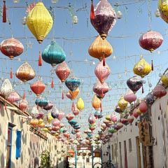 阿尔茶抓饭店(原甜穆奇鸽子汤店) User Photo